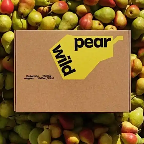 Baskılı koli ile marka algısını güçlendirin